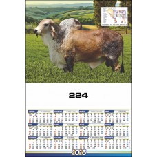 I - Série 224